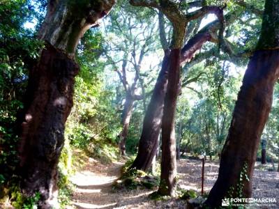 Sierra Aracena-Minas RíoTinto;turismo activo zapatillas para andar pueblos con encanto madrid amist